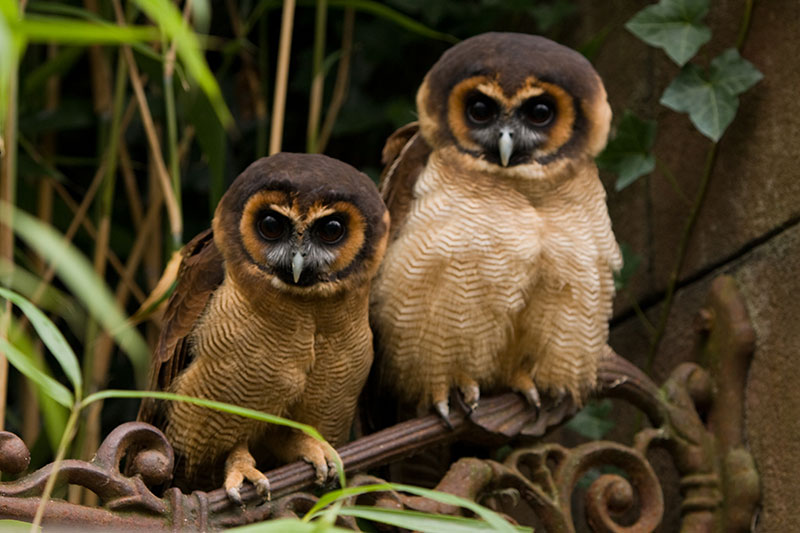 Wonderwereld Ter Apel